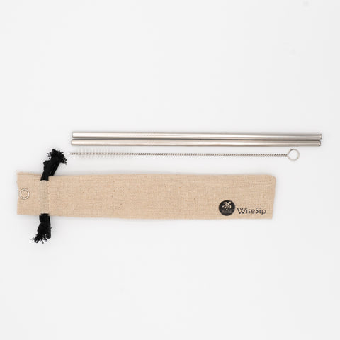 Wisesip Reusable Metal straws x 2