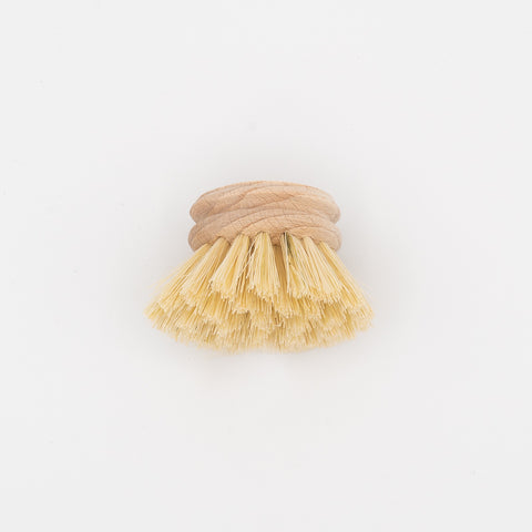 Eco Living Dish Brush Replacement Head