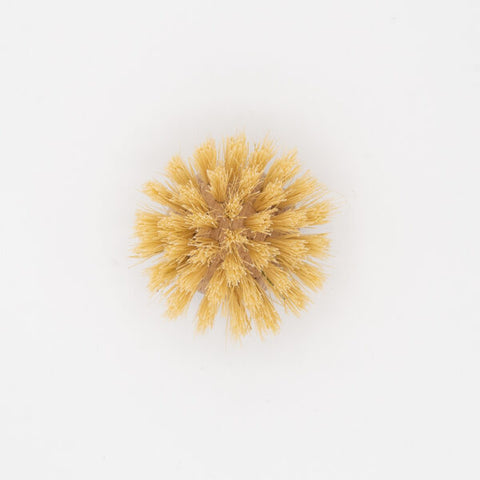 Eco Living Dish Brush Replacement Head