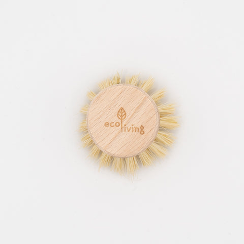 Eco Living Dish Brush Replacement Head