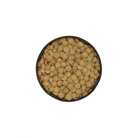 Green Lentils