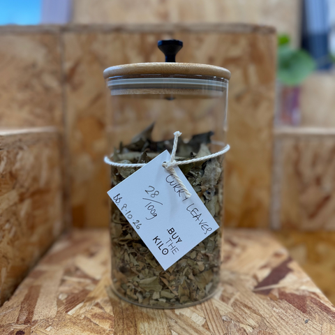 Curry Leaves