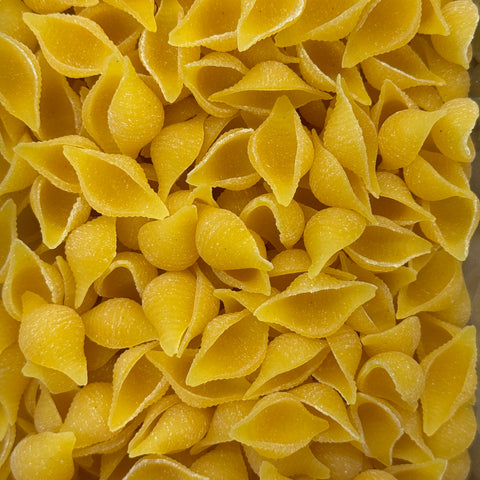 Organic Conchiglia Pasta