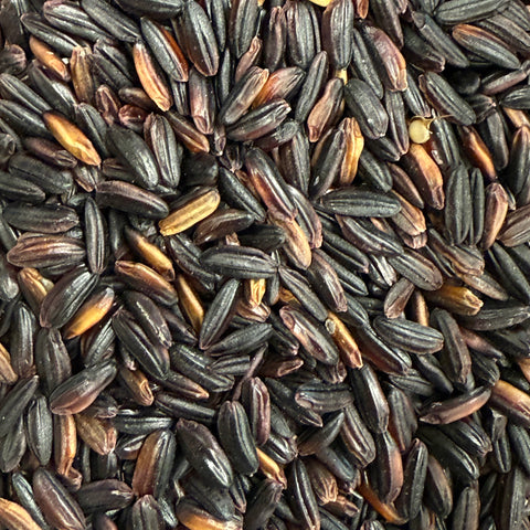 Grains and Rice